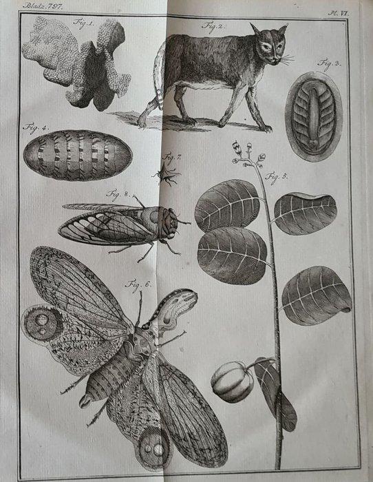 Noel Chomel en Jacques Alexandre de Chalmot - Vervolg op, Antiek en Kunst, Antiek | Boeken en Bijbels