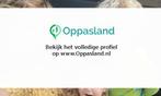 Rosanne zoekt een oppas in Zwolle.