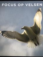 Focus op Velsen 9789079165018 J. Bakker, Verzenden, Gelezen, J. Bakker