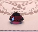1 pcs Rood Spinel - 1.83 ct - International Gemological, Nieuw