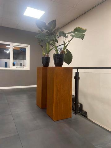 Sokkels - Zuilen van Cortenstaal. Tuinbeelden beschikbaar voor biedingen