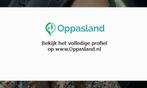 Ik ben Sude Naz, 19 jaar oud en ik zoek oppaswerk in Apel...