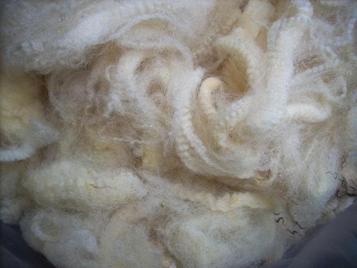 schapenwol spinnen  wol vilten spinnewiel spinwol  vachtvilt, Hobby en Vrije tijd, Spinnewielen en Spinnen, Spinwol, Nieuw