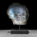 Intricately carved parelmoer schelp - menselijk, Antiek en Kunst, Curiosa en Brocante