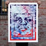 Shepard Fairey (OBEY) (1970) and Kai & Sunny - Wild OBEY, Antiek en Kunst