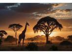 Glasschilderij Giraffe | 1123, Huis en Inrichting, Ophalen of Verzenden, Nieuw