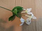 Corsage pick – white kunst stephanotus per stuk voor toefjes, Ophalen of Verzenden, Nieuw