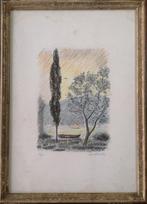 Michele Cascella (1892-1989) - La pineta di Pescara 1979