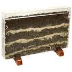 Eduplay Wormenhotel of plantenhotel, Nieuw