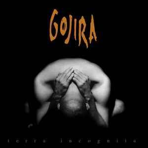 cd - Gojira - Terra Incognita, Cd's en Dvd's, Cd's | Overige Cd's, Zo goed als nieuw, Verzenden