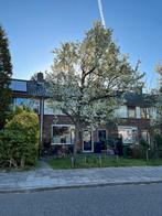 Te huur: Appartement Fuutstraat in Landsmeer, Landsmeer, Noord-Holland, Appartement