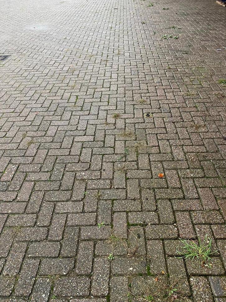 Gebruikte betonklinkers 21x10,5x8 cm Rood/Paars, Tuin en Terras, Tegels en Klinkers, Klinkers, Gebruikt, 10 m² of meer, Beton