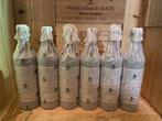 2021 Familia Falasco, Malbec Hermandad - Mendoza, Uco, Verzamelen, Nieuw