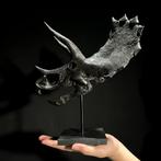 GEEN RESERVEPRIJS - Replica van een Triceratops-dinosaurus, Antiek en Kunst