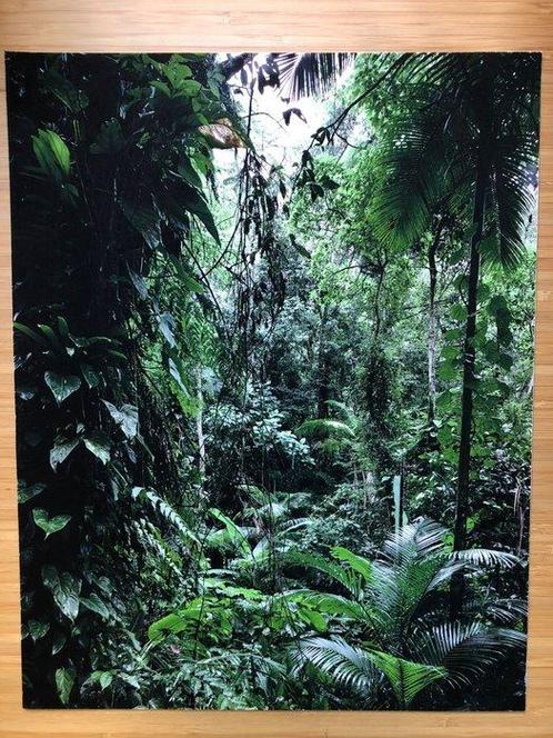 Thomas Struth (1954) - Sao Francisco de Xavier - Brasil, Antiek en Kunst, Kunst | Schilderijen | Modern