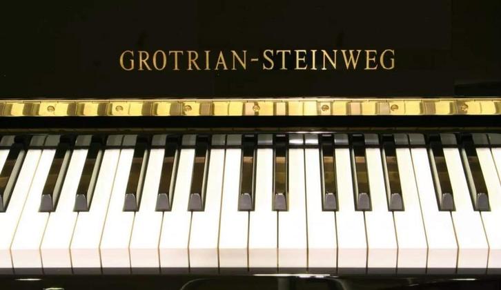 VakmanschapactieGrotrian Steinweg 192 B messing vleugel, Muziek en Instrumenten, Piano's, Vleugel, Zwart