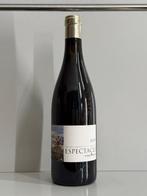 2020 René Barbier, Espectacle de Montsant - Montsant - 1, Nieuw