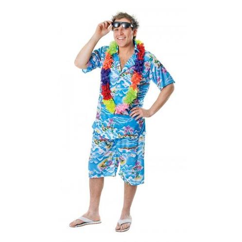 Blauwe Hawaii kleding voor heren - Hawaii kleding, Kleding | Heren, Carnavalskleding en Feestkleding, Ophalen of Verzenden