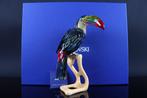 Figuur - Swarovski - Toekan (Boxed + certificate) - Kristal, Antiek en Kunst