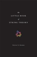 Little Book Of String Theory 9780691142890 Steven S. Gubser, Boeken, Verzenden, Gelezen, Steven S. Gubser