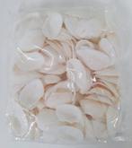 Schelpen dinh ba 3,5-4,5 cm naturel 450 gr Cockels, Ophalen of Verzenden, Nieuw