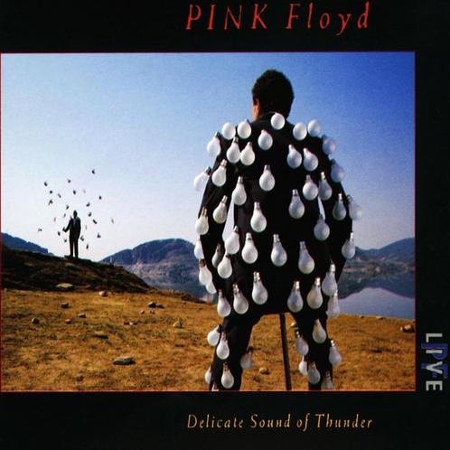 Pink Floyd – Delicate Sound Of Thunder 5099960919427 (2..., Cd's en Dvd's, Cd's | Rock, Verzenden