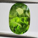 Zonder Minimumprijs Olivijn - 4.94 ct - Antwerp Laboratory, Sieraden, Tassen en Uiterlijk, Edelstenen, Nieuw