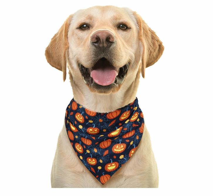 Halloween Sjaal Pompoen, Hobby en Vrije tijd, Feestartikelen, Nieuw, Verzenden