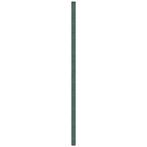 vidaXL Worteldoek 4x50 m polypropeen groen, Verzenden, Nieuw