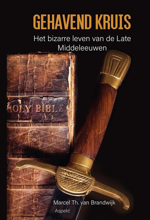 Gehavend Kruis 9789464871814 Marcel Th. van Brandwijk, Boeken, Literatuur, Zo goed als nieuw, Verzenden