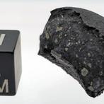 Tarda Meteorite (C2-ung, 5,29 g) – bevat de bouwstenen van, Verzamelen