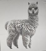 ARAZZO Alpaca exclusief in jacquard van katoen en alpaca -