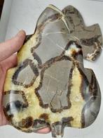 Twee grote Septarie (Drakensteen) edelstenen - boombladeren