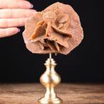 Cabinet de Curiosity - Woestijnroos Kristallen - Messing