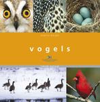 Vogels 9789052106700 J. Burger, Verzenden, Gelezen, J. Burger