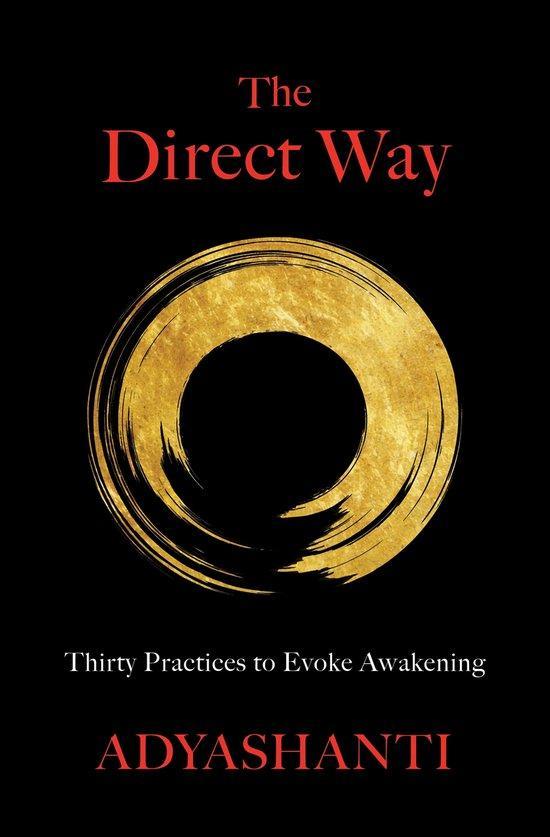 9781683646143 The Direct Way Adyashanti Gray, Boeken, Studieboeken en Cursussen, Nieuw, Verzenden