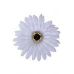 Hawaii party haarbloemen wit - Haarbloemen, Ophalen of Verzenden, Nieuw