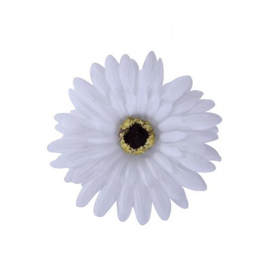 Hawaii party haarbloemen wit - Haarbloemen, Hobby en Vrije tijd, Feestartikelen, Ophalen of Verzenden