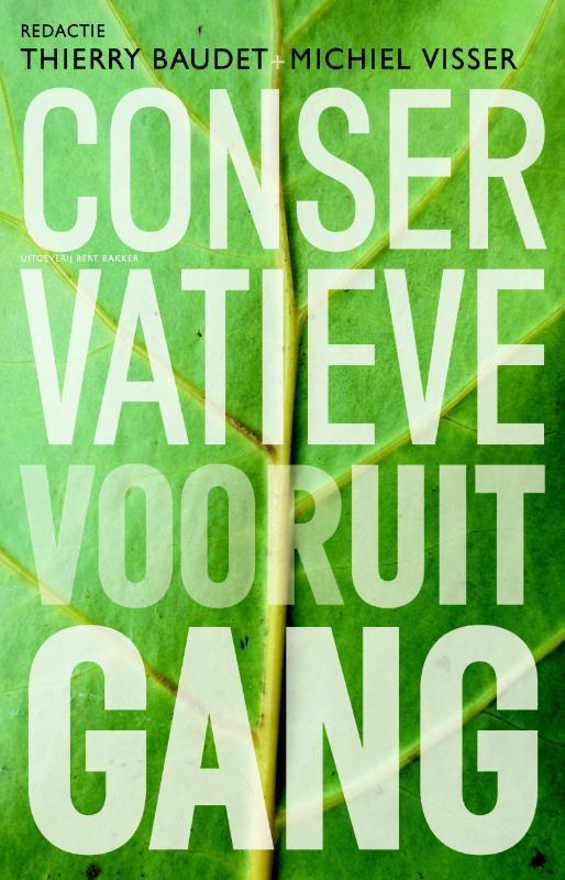 Condervatieve vooruitgang 9789035135635 Michiel Visser, Boeken, Filosofie, Gelezen, Verzenden