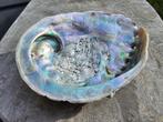 Abalone schelp medium 2, Ophalen of Verzenden