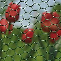 Betafence Hexanet Plastic 100cm 25m (13x1.00mm) groen BF..., Tuin en Terras, Gaas en Draad, Nieuw, Ophalen of Verzenden