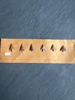 prehistorisch pijlpunt van vuursteen - 6 cm