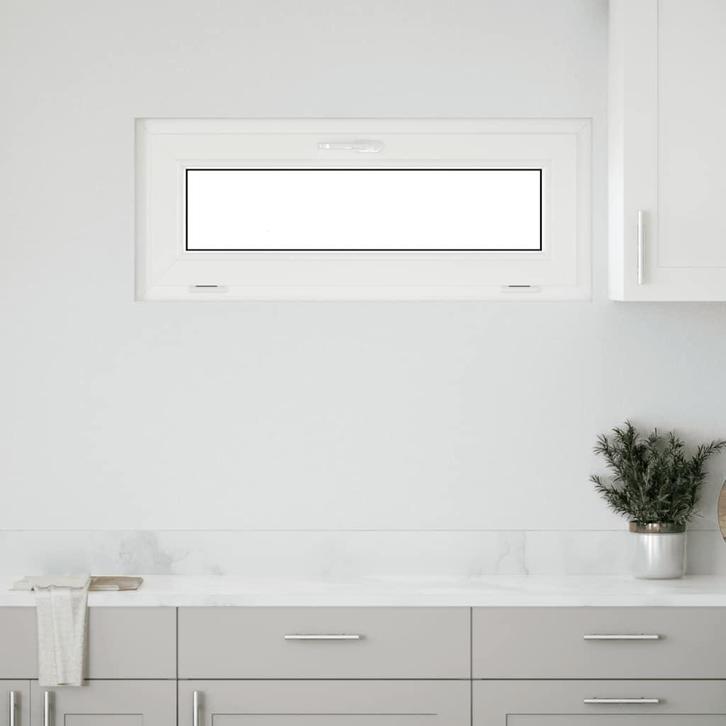 vidaXL Kelderraam RISOR 100x40 cm 2 glas kiepdraad, Doe-het-zelf en Verbouw, Glas en Ramen, Nieuw, Verzenden