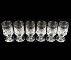 Drinkset (6) - Glas, Zilver - Bitterglazen