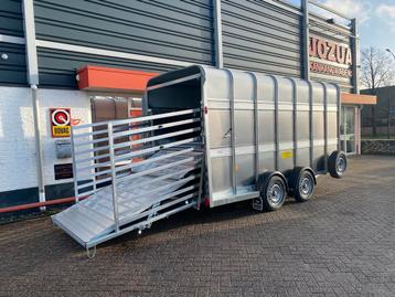 Ifor Williams veetrailer - Dubbeldek voor schapen beschikbaar voor biedingen