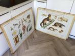 Decoratief ornament (2) - J.B.Wolters - Schoolplaat -, Antiek en Kunst