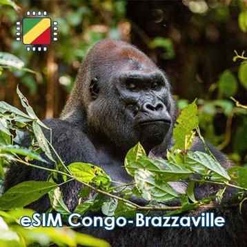 eSIM Congo-Brazzaville - 10GB