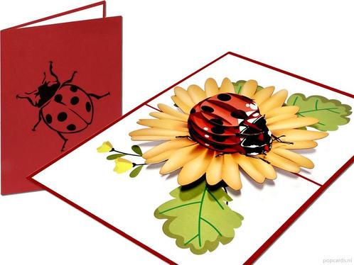 Lieveheersbeestje op zonnebloem pop-up kaart, Diversen, Wenskaarten, Verzenden