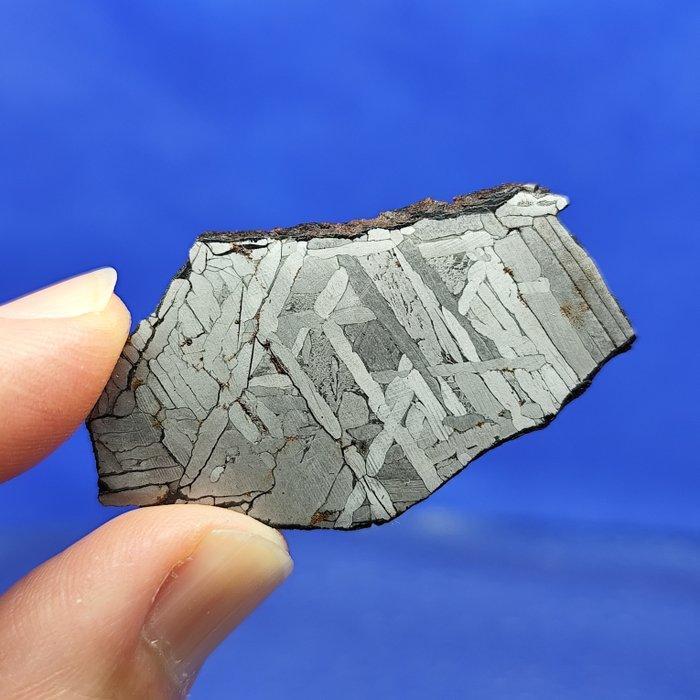 -Slice- HICKMAN (Australië, 2018). IJzermeteoriet. Zeer, Verzamelen, Mineralen en Fossielen