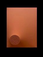 Alessandro Alteo (1997) - Monocromo Arancione - 451